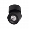 Светильник LOFT IT 10180 Black 3000K