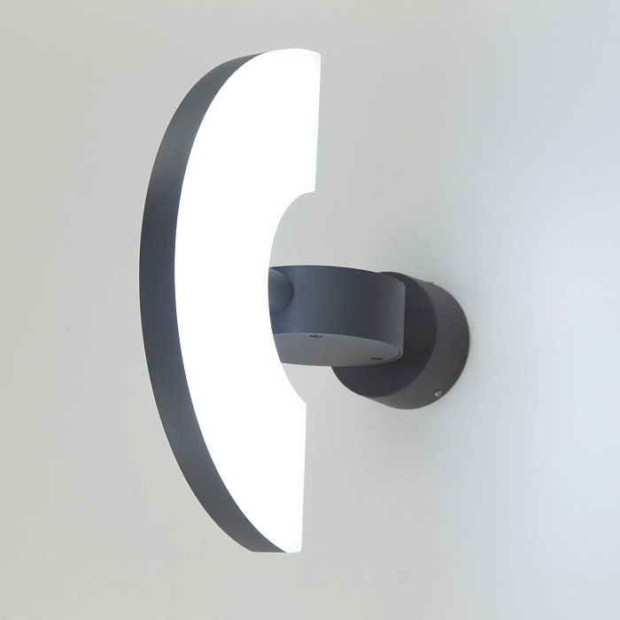 Уличный светильник Citilux CLU03W