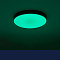 Светильник Citilux CL72470G1