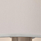 Торшер ARTE LAMP A2589PN-1SS