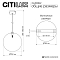 Светильник Citilux CL202042