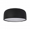 Светильник LOFT IT 10201/350 Black
