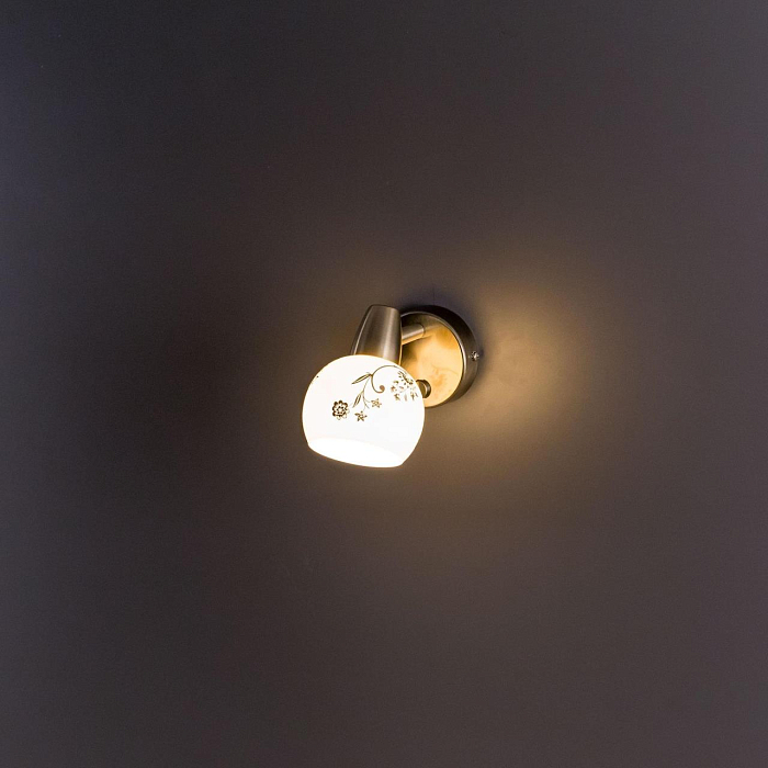 Спот Citilux CL520513
