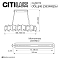 Люстра Citilux CL250172
