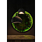 Divinare 2245/06 SP-1