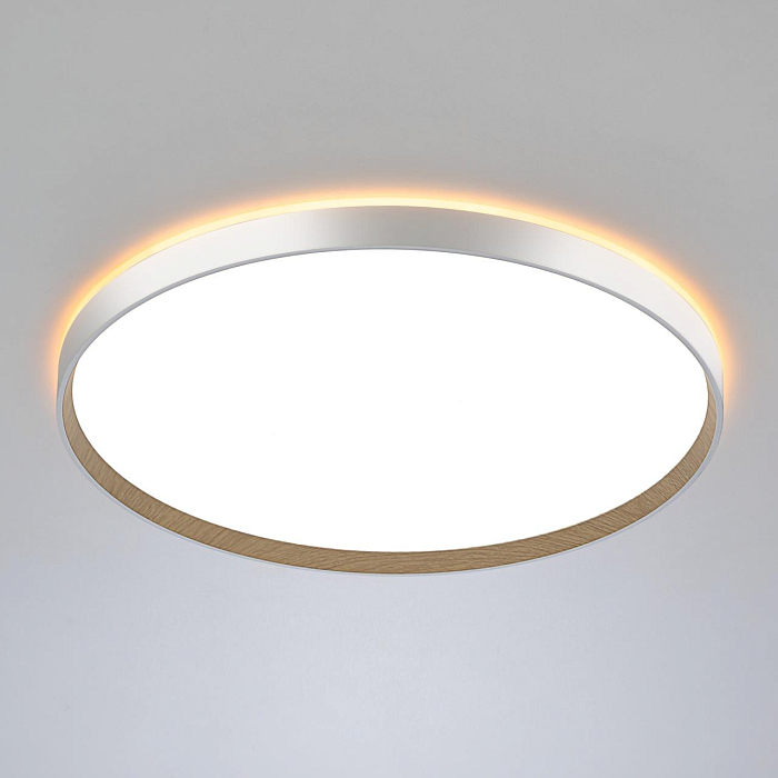 Светильник Citilux CL750500R