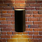 Уличный светильник ARTE LAMP A6109AL-2BK