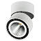 Светильник Lightstar 214830