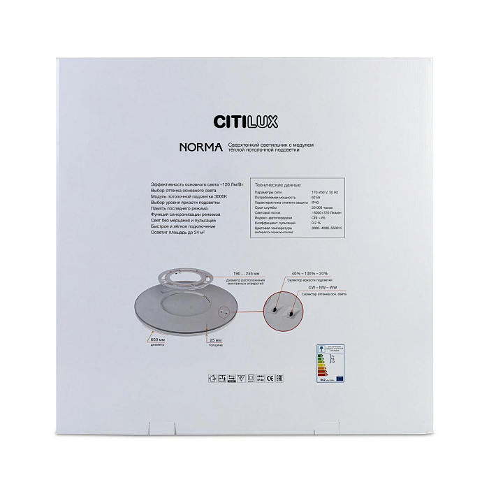 Светильник Citilux CL748601