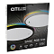 Светильник Citilux CL738321EL