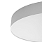 Светильник Citilux CL755490