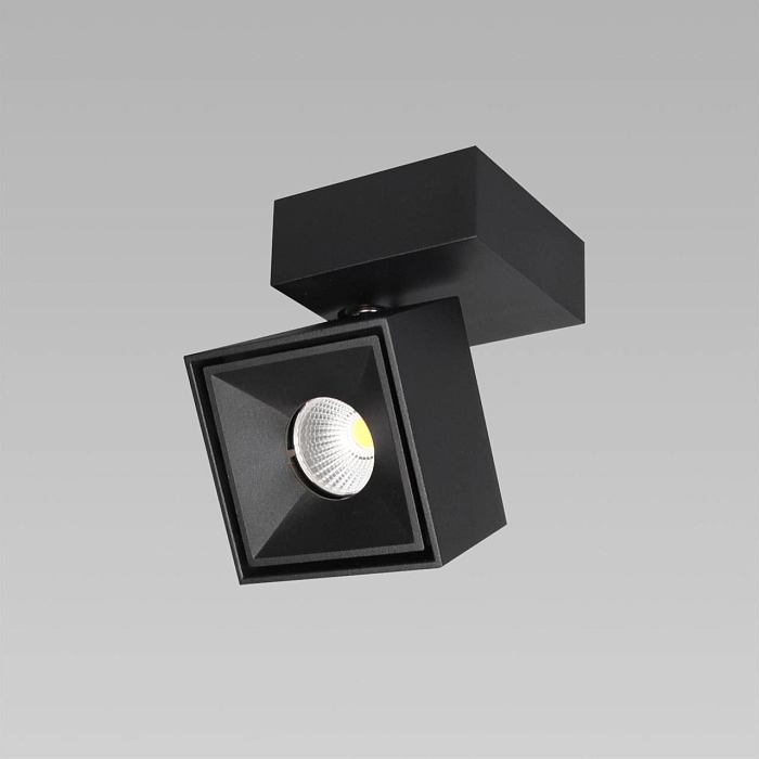 Светильник Citilux CL558021N