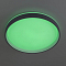 Светильник Citilux CL753453G