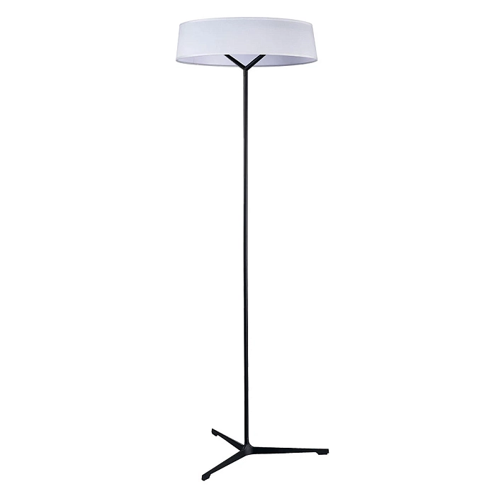 Divinare 1029/06 PN-11