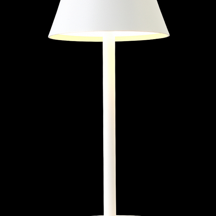 Настольная лампа Crystal Lux SANTA LG1 WHITE
