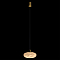 Светильник LOFT IT 10409/L