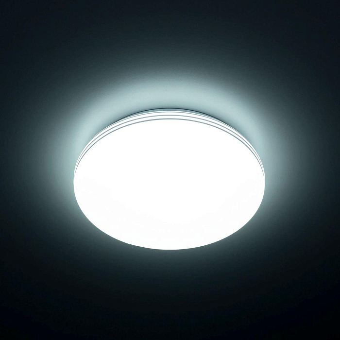 Светильник Citilux CL71424SV