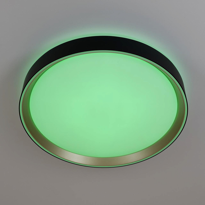 Светильник Citilux CL751351G