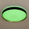Светильник Citilux CL751451G