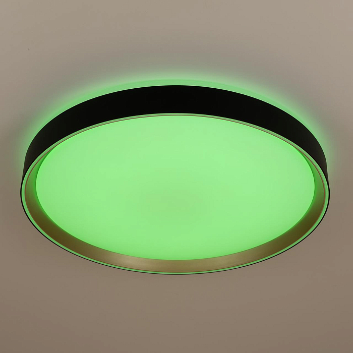 Светильник Citilux CL751451G