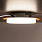 Светильник Citilux CLD5310N
