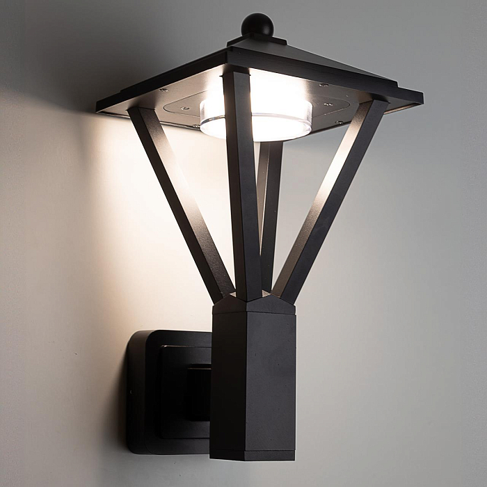 Уличный светильник Citilux CLU12W