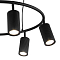 F-Promo 4635-6P