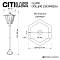 Уличный светильник Citilux CLU09B