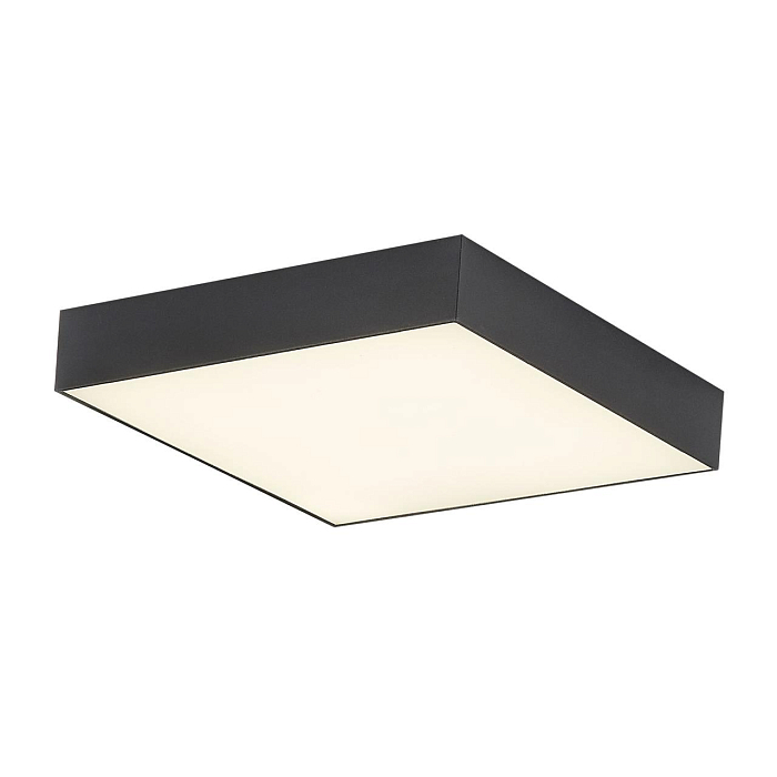 Светильник Citilux CL712X242N